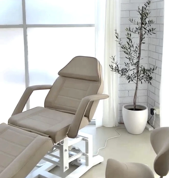 Modern beige salon treatment chair near window with plant