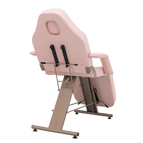 hydra-beige-gold-beauty-bed-pink-rear-mechanism-dsse.webp